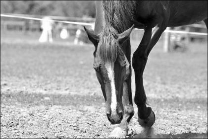 Tequila Sunrise - 24 03 juin 2011