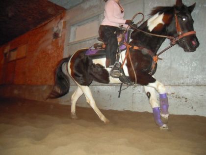 Jouuly qui travail à se démêler dans ses pattes xD