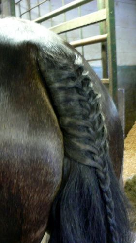 photo par Mari-Chou Je l'aime beaucoup pour ma premi`re :)