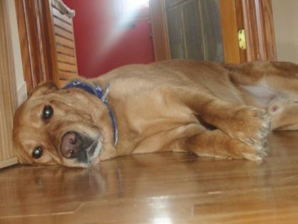 Fidel :) 