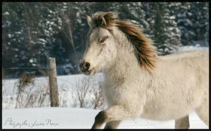 Belle photo de Muraco