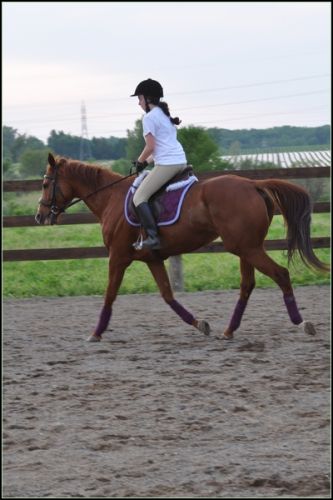 Tequila Sunrise mont&eacute;e par ma cousine ! - 27 juin 2011