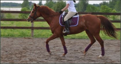 Ma jument mont&eacute;e par na cousine - 27 juin 2011
