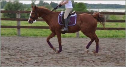 Tequila Sunrise mont&eacute;e par ma cousine ! - 27 juin 2011