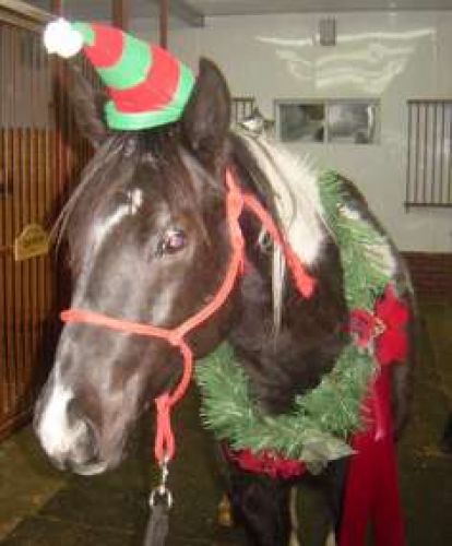 Pinnacle vous souhaites joyeux noel ;)