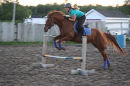 Heidi, jument de plaisance western et moi qui monte en dressage...