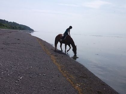 J'adore le paysage