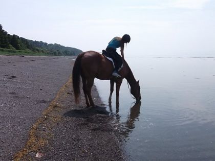 On voit que mon cheval est pas petit.. xd