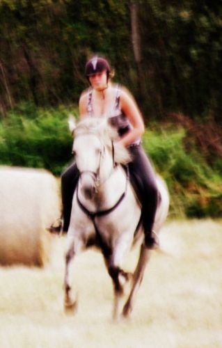 Cheval de course