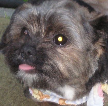 Belle grimace, mon p'tit Minus!
