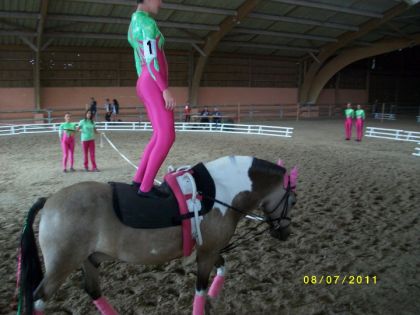 Compétition de voltige a la FFE (Lamotte-Beuvron)