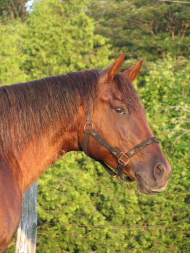 photo par Xtacie88 belle doudoune!