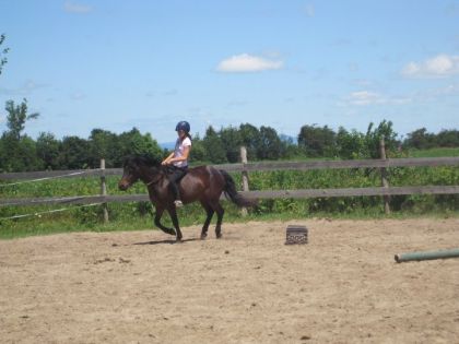 Galop a la crue avec Prince il est tellement confortable