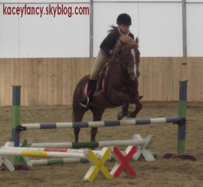 Moi et mon ancienne ponette Canelle la Tulipe sur oxer à environ...