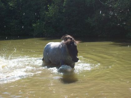 dee-j qui sort du lac