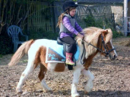 photo par Irishcob83 Hommage a Cloé décédée en mai 2011 a l'age de 4ans elle...