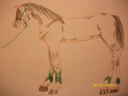 Un cheval au thème Vert forêt ^ ^