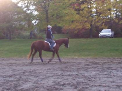 Kathy-Début entraînement classique