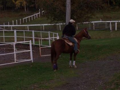 Moi en train d'ajuster mes étriers sur Kathy