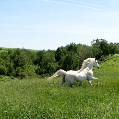 Beau souvenir d'été 2007...