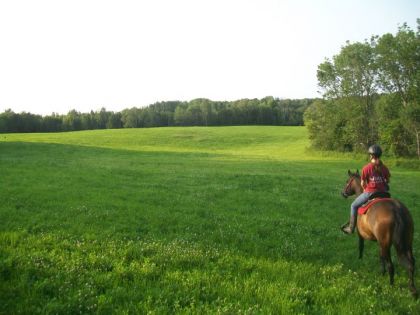 Moi et Fidelle dans le champ