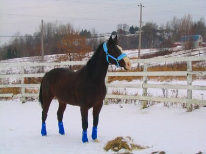 La belle Blue!!