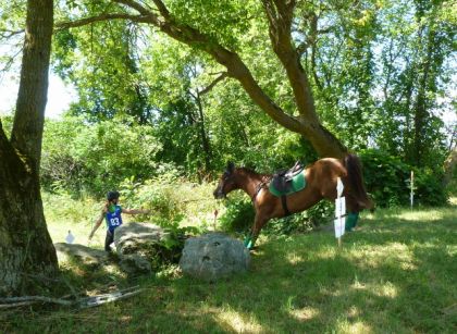 Moi et ma jument au TREC de Mirabel,24 juillet 2011. Contre bas...