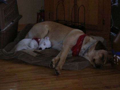c'est l'heure du repos