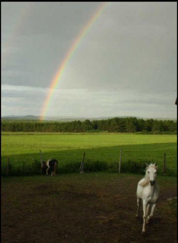 Fin d'après midi du 25 juillet 2011