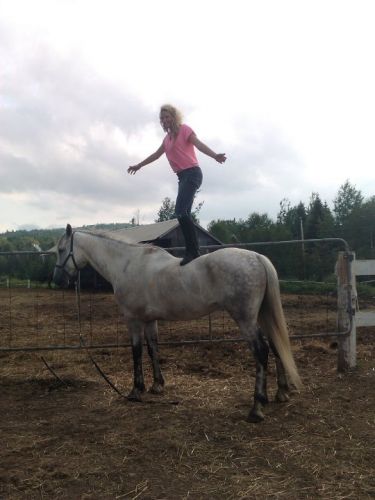 moi debout sur mon gros loup 