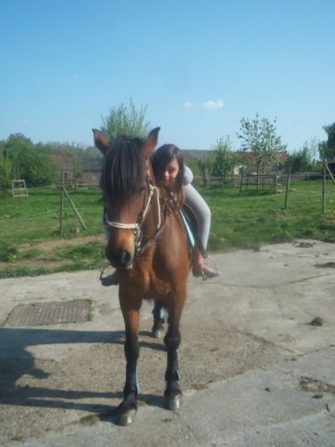 photo par carola-jtm