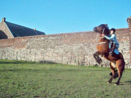 photo par carola-jtm