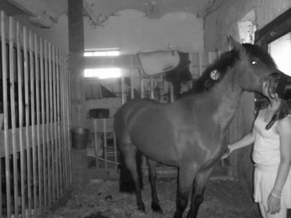photo par carola-jtm