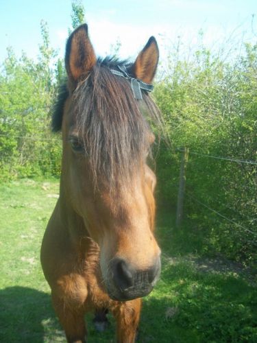 photo par carola-jtm