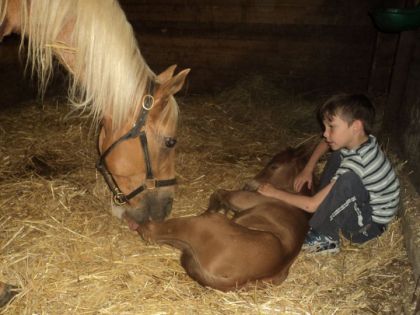 Cette photo est sans mot ... plein de tendresse... merci &agrave; celle...