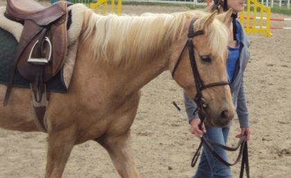 Petite ponette (L)