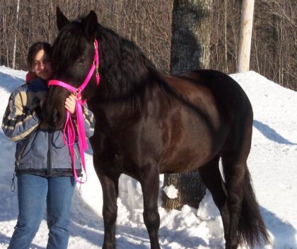 Fille et jument dehors en hiver