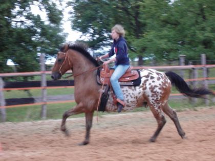 1er "concour" avec mon cheval