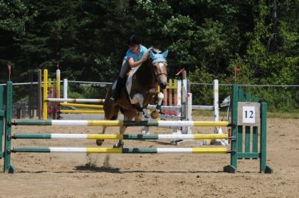 moi et mon poney Big Kyle en competition regional a 3pied 3pied3...