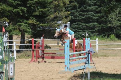moi et mon poney Big Kyle en competition regional a 3pied 3pied3...