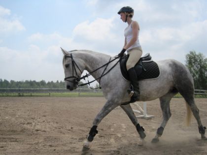 Ma princesse (L) 