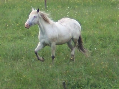 photo par geronimo