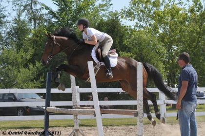 Show Breton 2011, r&eacute;chauffement jumper ring :) 