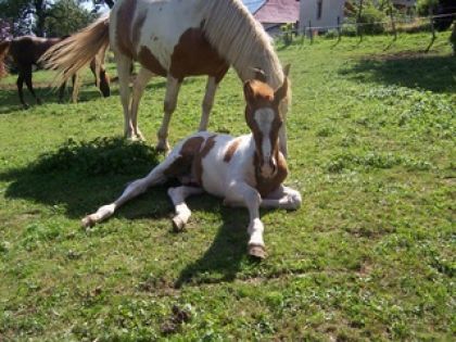 photo par geronimo