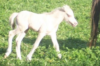 photo par geronimo