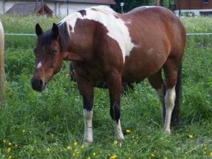 photo par geronimo