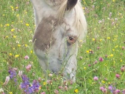 photo par geronimo