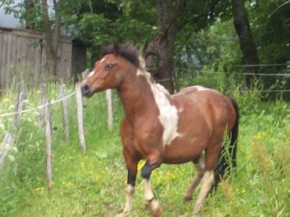 photo par geronimo