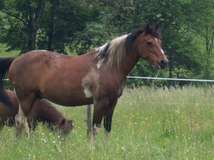 photo par geronimo