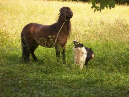 photo par geronimo